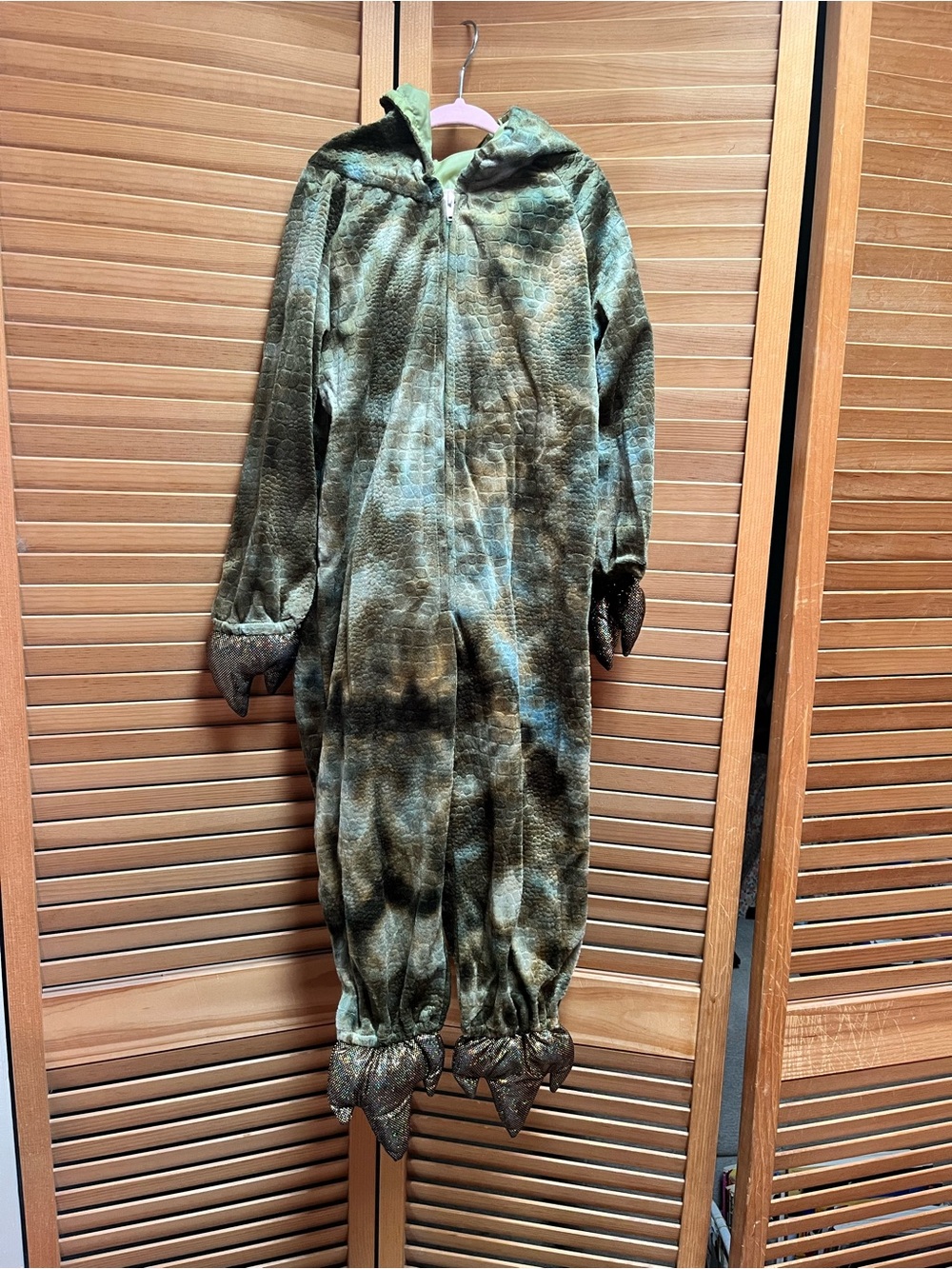 Boys T-Rex Dinosaur Spiked Hooded Costume